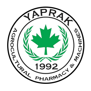 Yaprak Logo